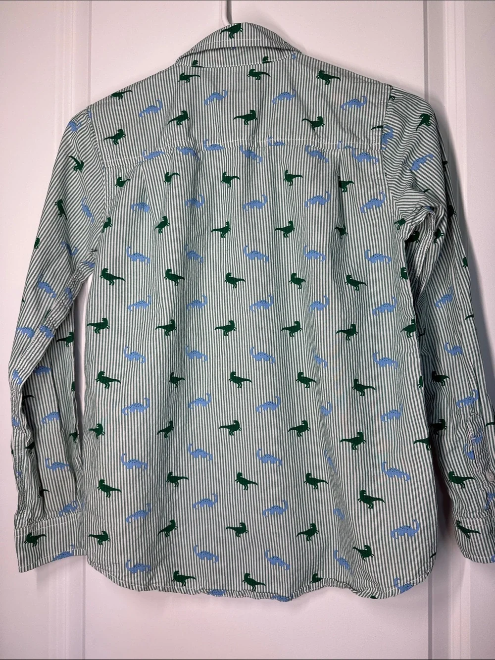 The Children's Place Green & Blue Striped Button-Down Shirt with Dino Print